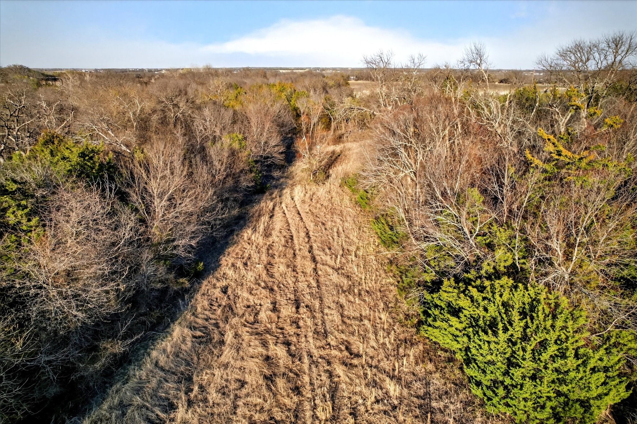 Tbd Fm 455 Weston TX 75097