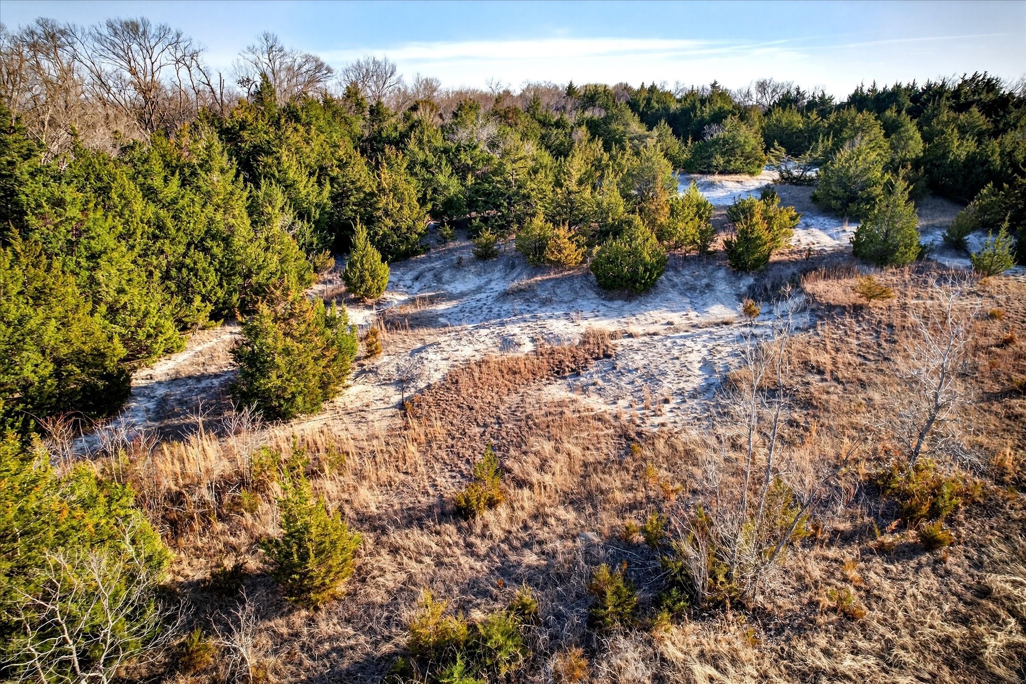 Tbd Fm 455 Weston TX 75097