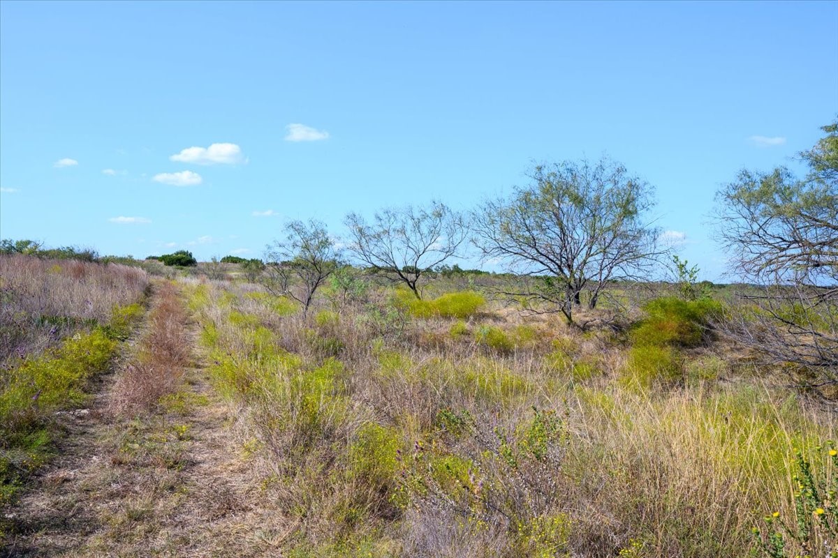 TBD-61.63 Acres Cr 414 Jonesboro TX 76538