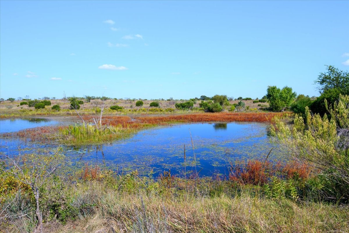 TBD-61.63 Acres Cr 414 Jonesboro TX 76538