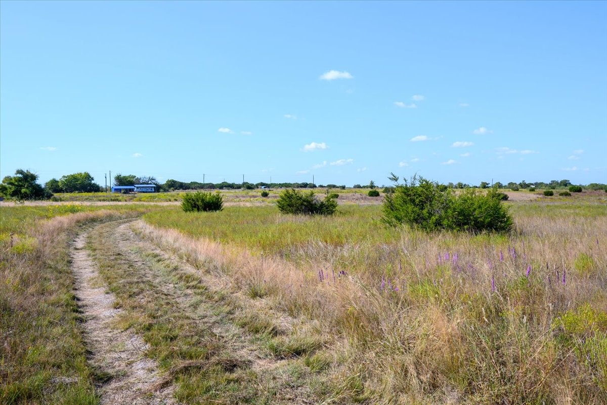 TBD-61.63 Acres Cr 414 Jonesboro TX 76538