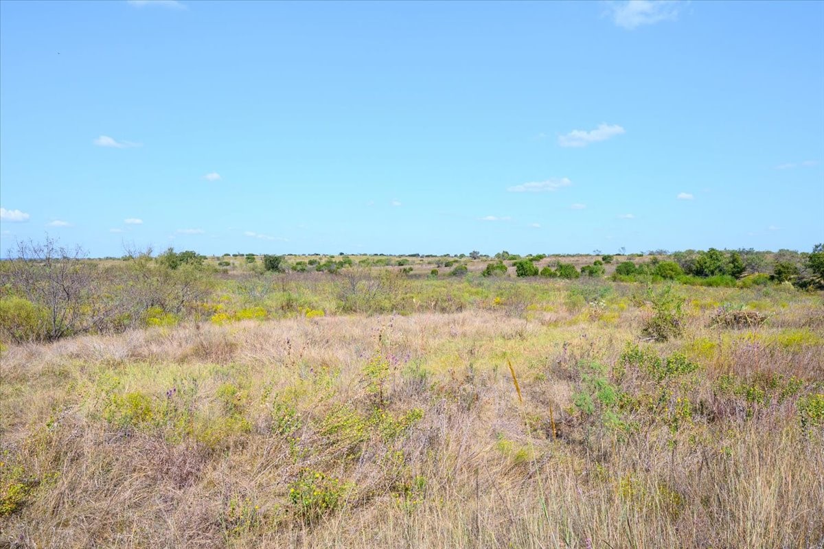 TBD-61.63 Acres Cr 414 Jonesboro TX 76538