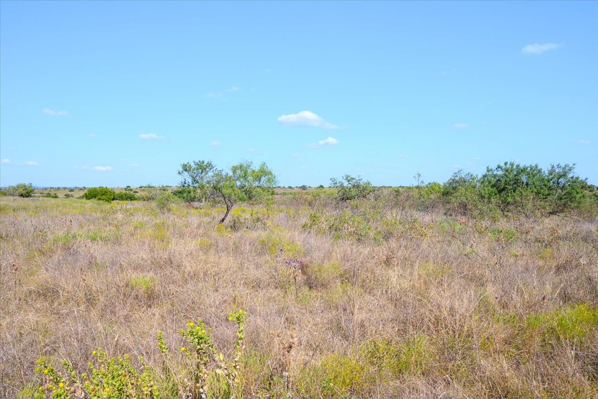 TBD-61.63 Acres Cr 414 Jonesboro TX 76538