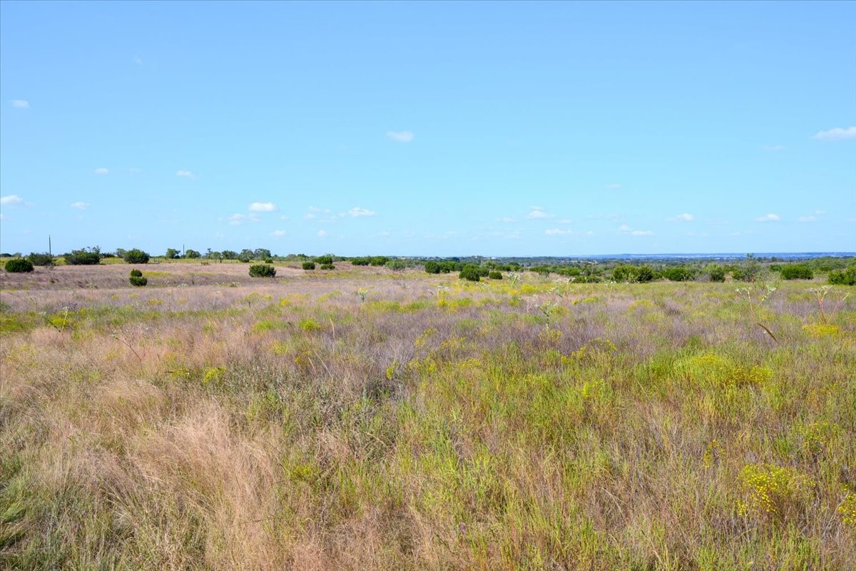 TBD-61.63 Acres Cr 414 Jonesboro TX 76538