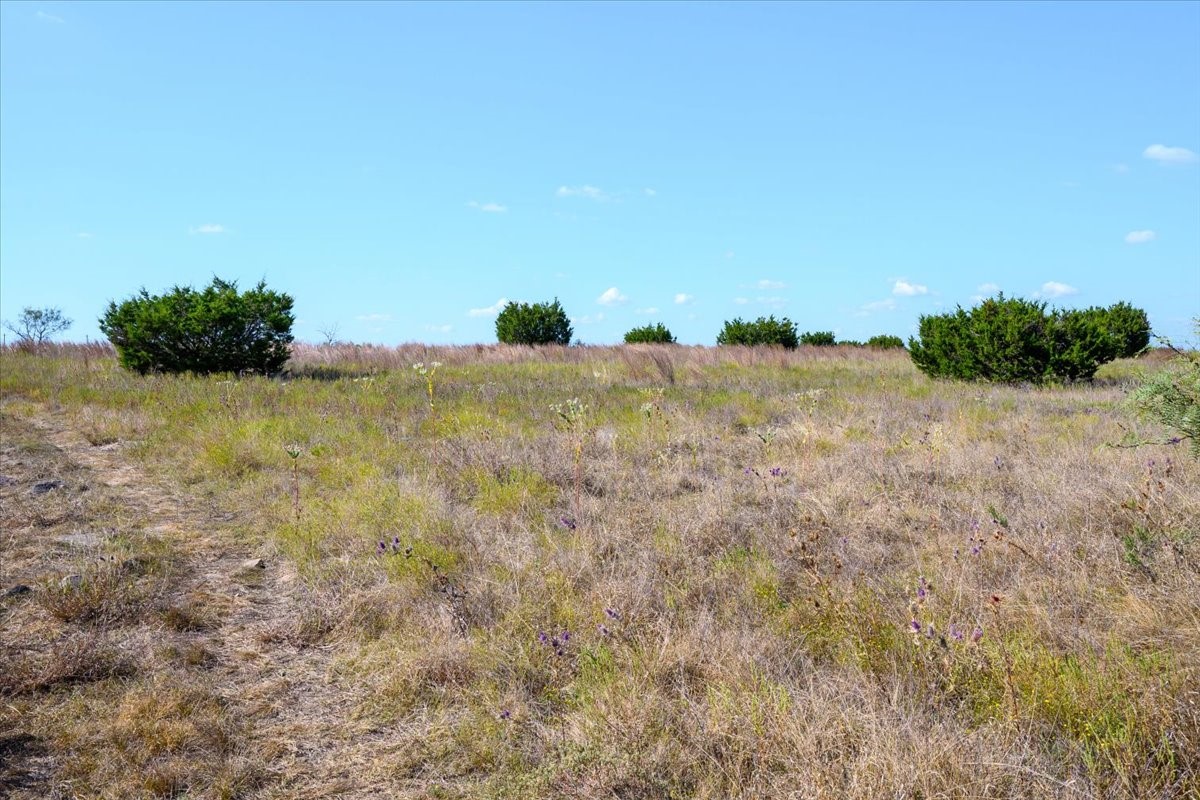 TBD-61.63 Acres Cr 414 Jonesboro TX 76538