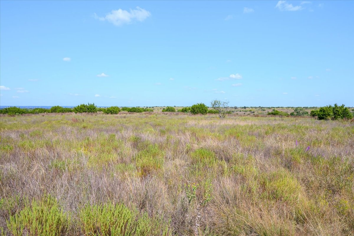 TBD-61.63 Acres Cr 414 Jonesboro TX 76538