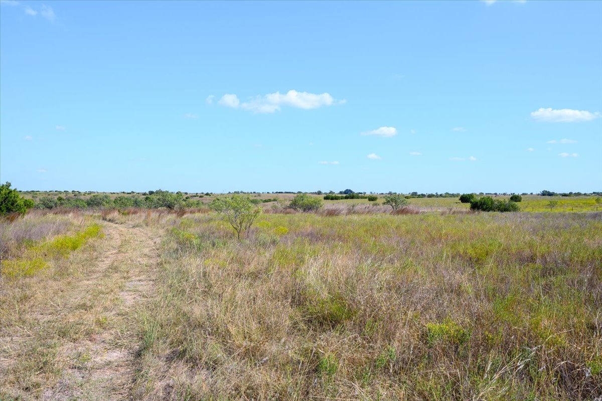 TBD-61.63 Acres Cr 414 Jonesboro TX 76538