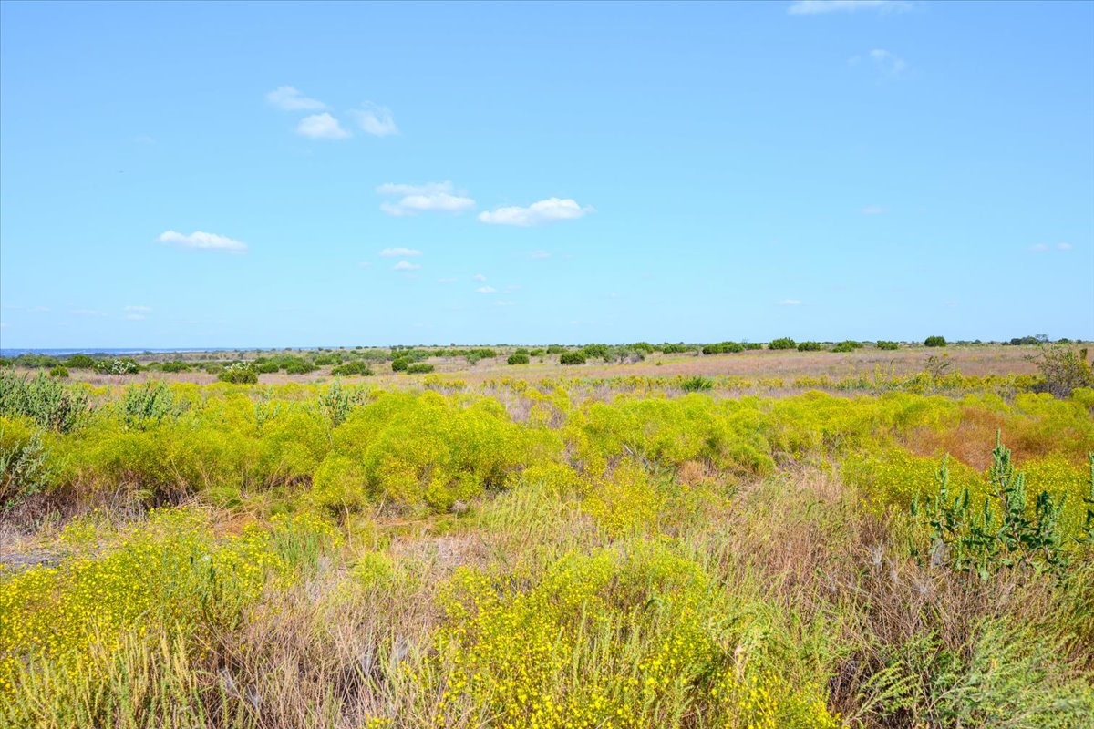 TBD-61.63 Acres Cr 414 Jonesboro TX 76538