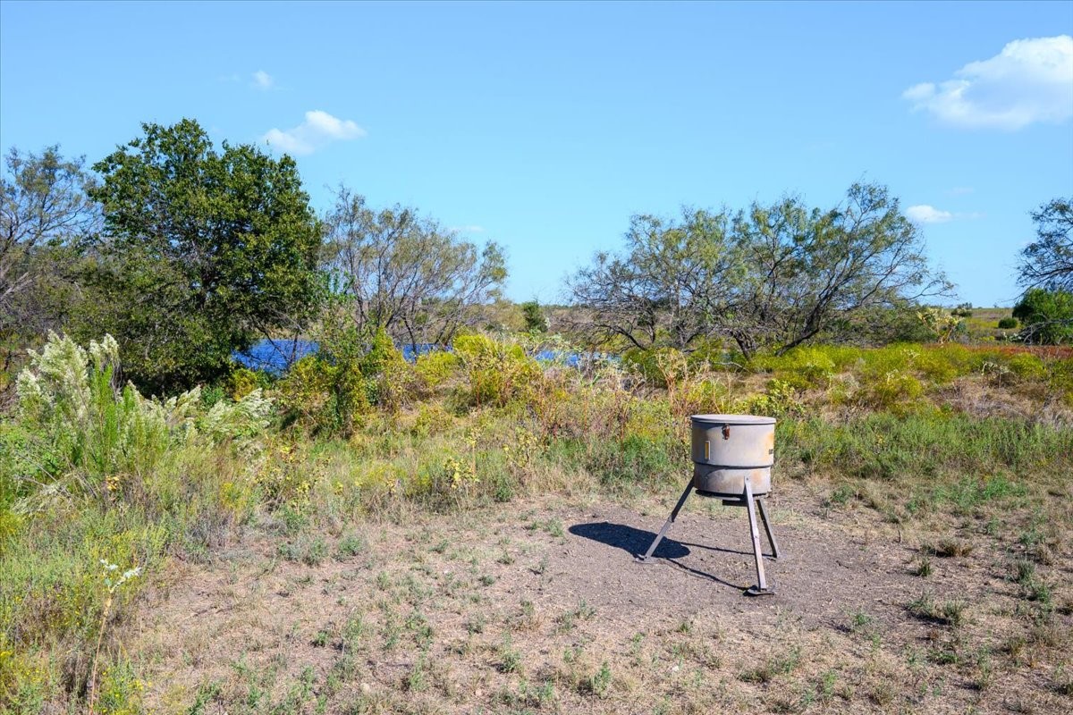 TBD-61.63 Acres Cr 414 Jonesboro TX 76538