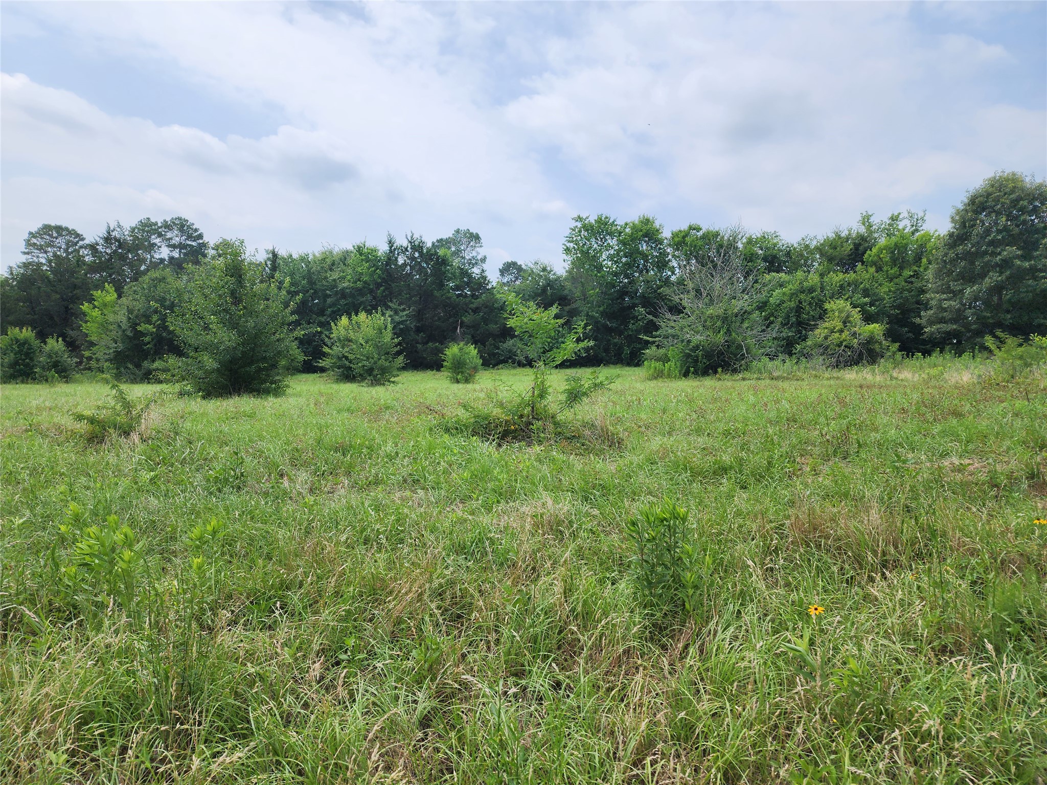 0001 S Highway 69 Mineola TX 75773