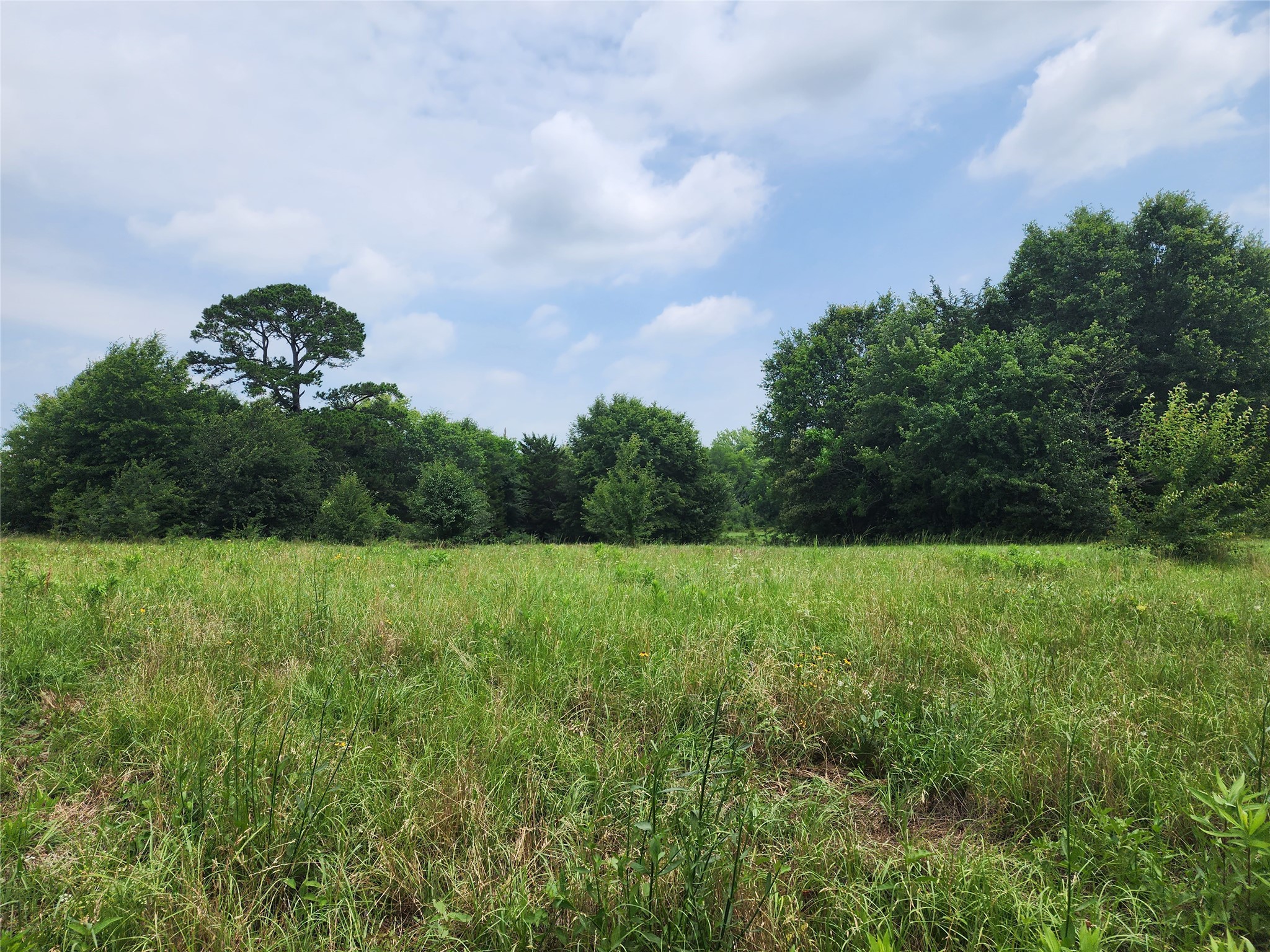 0001 S Highway 69 Mineola TX 75773