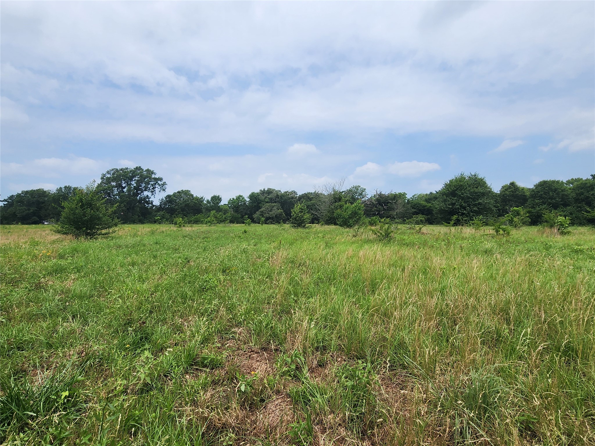 0001 S Highway 69 Mineola TX 75773