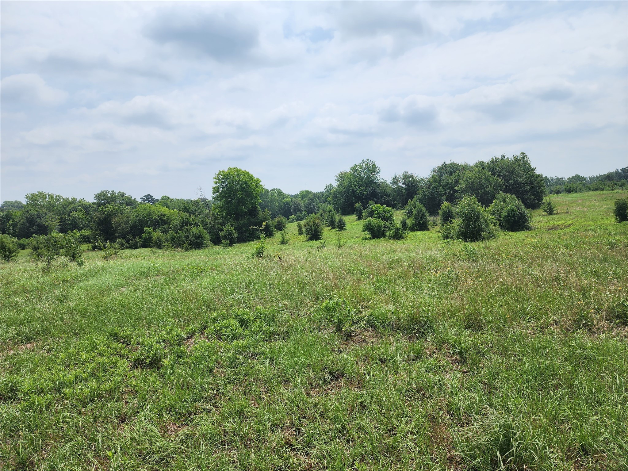 0001 S Highway 69 Mineola TX 75773