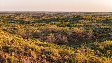 1241 County Road 24 Estelline TX 79201