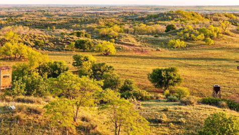 1241 County Road 24 Estelline TX 79201