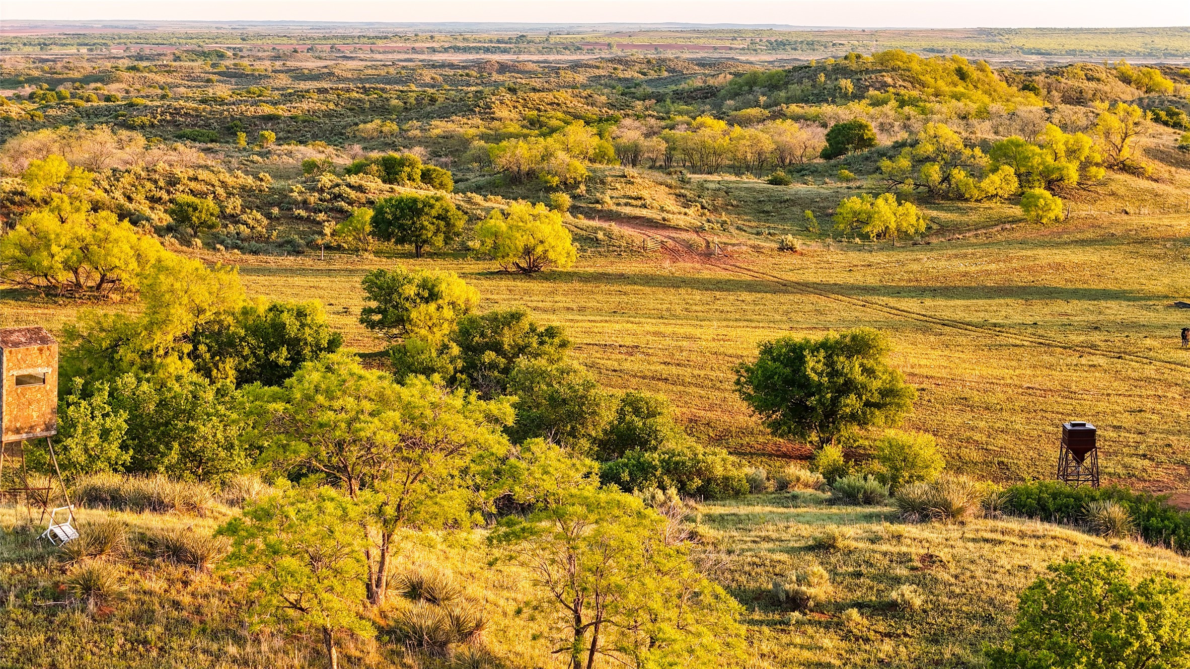 1241 County Road 24 Estelline TX 79201