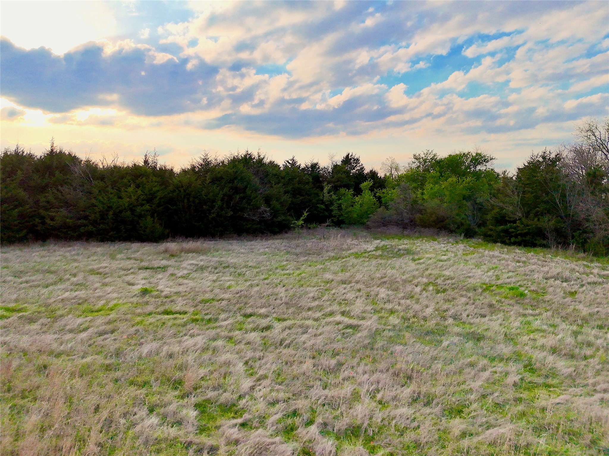 025 Fm 2194 Celeste TX 75423