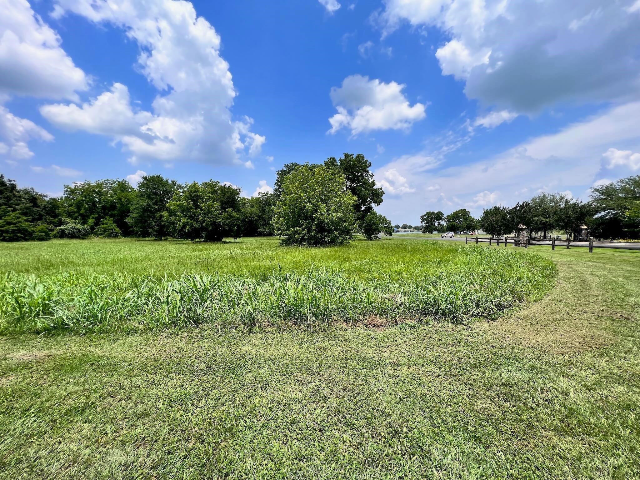 Lot 1-r South Point Drive Streetman TX 75859