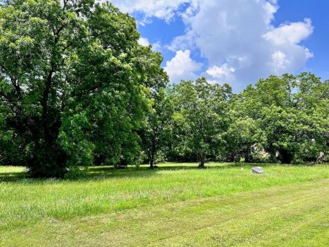 Lot 1-r South Point Drive Streetman TX 75859