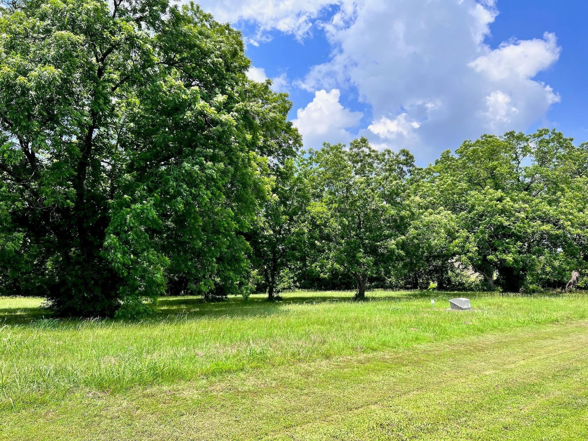 Lot 1-r South Point Drive Streetman TX 75859