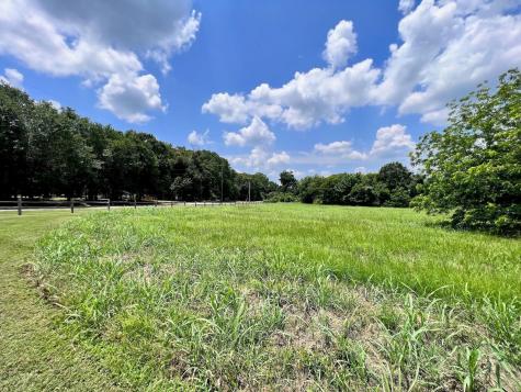 Lot 1-r South Point Drive Streetman TX 75859