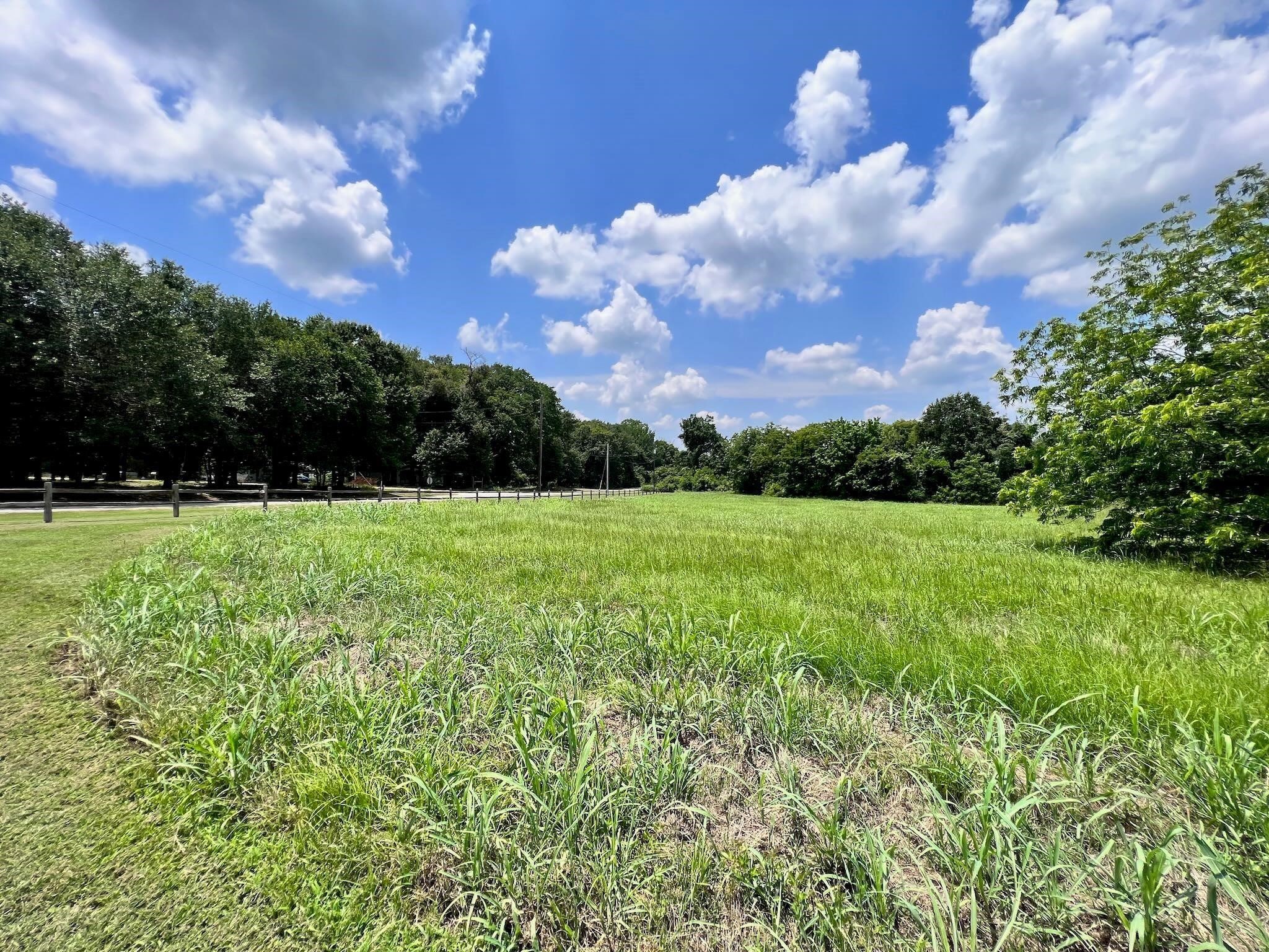 Lot 1-r South Point Drive Streetman TX 75859