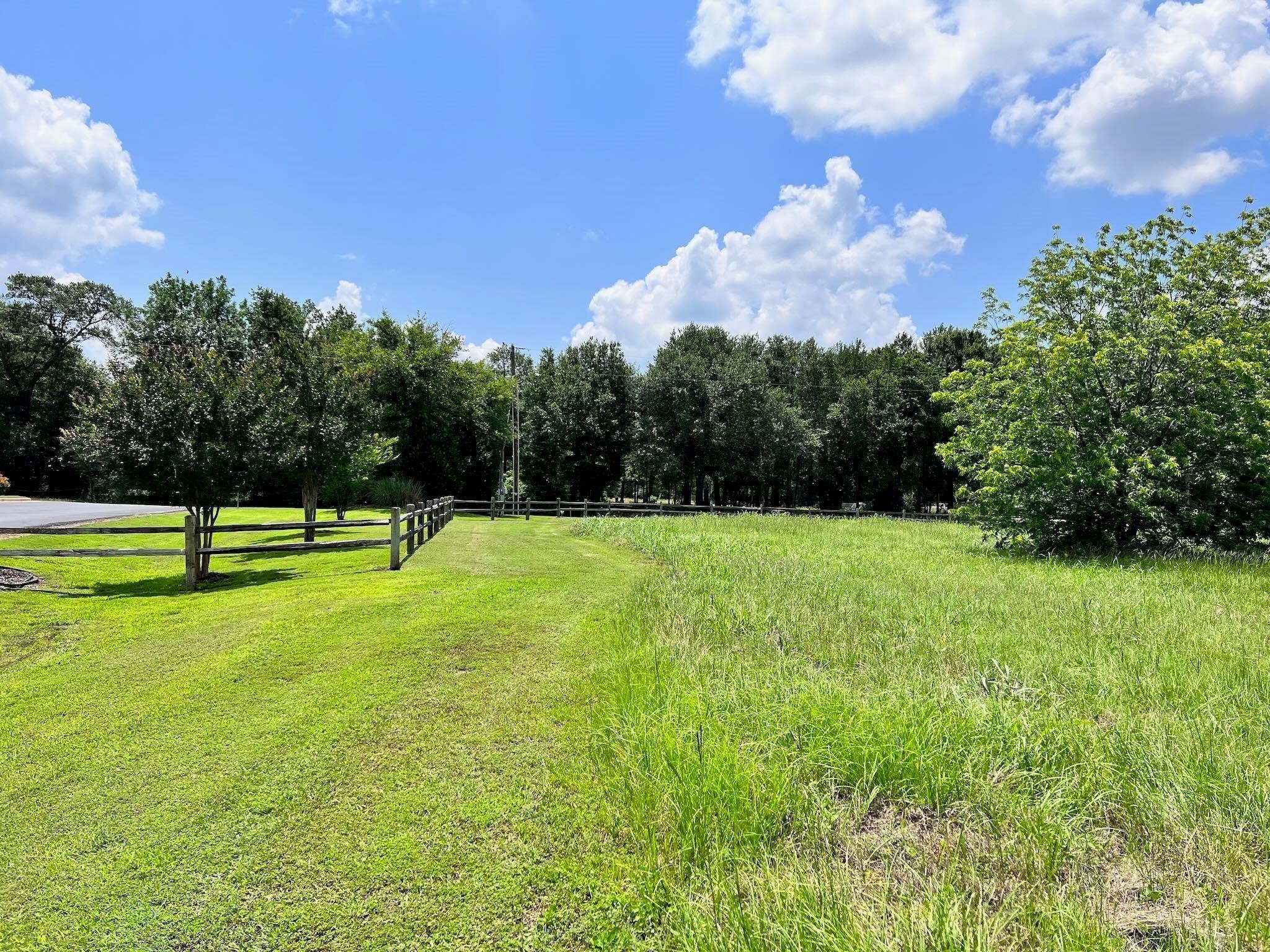 Lot 1-r South Point Drive Streetman TX 75859