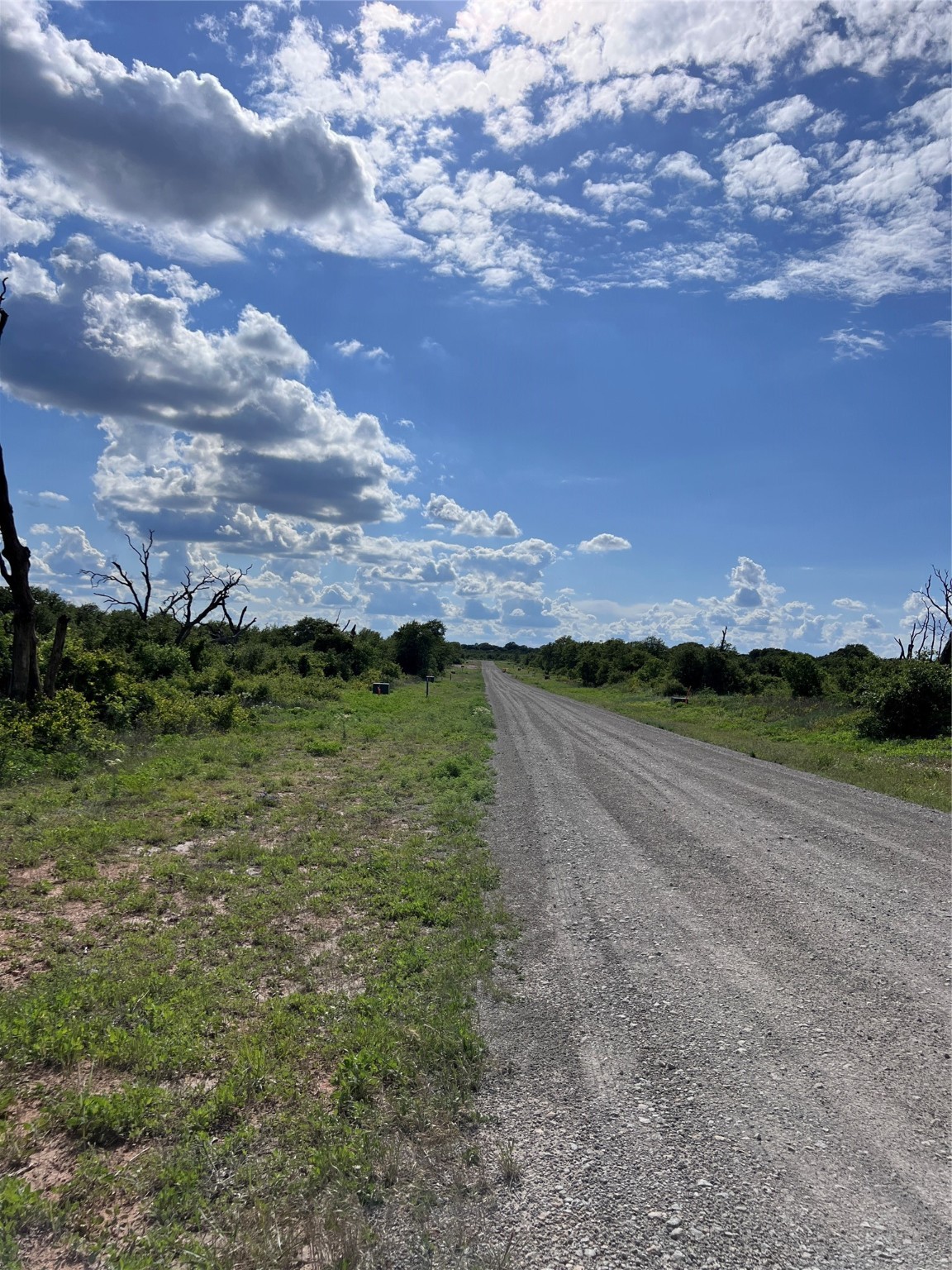 Tbd Lot 1 Live Oak Trail Clyde TX 79510