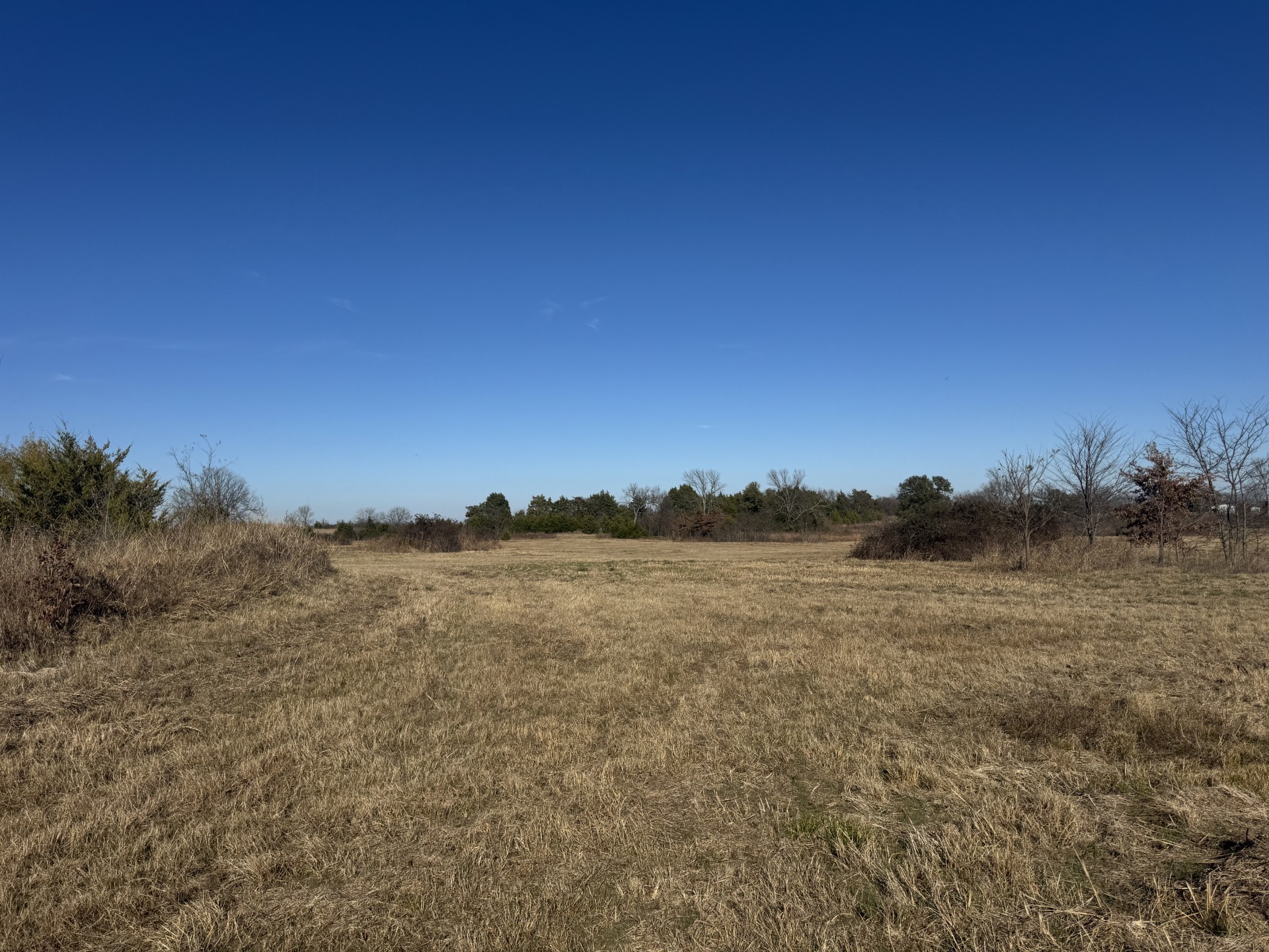 Tbd Tract 11 Fm 2675 Roxton TX 75477