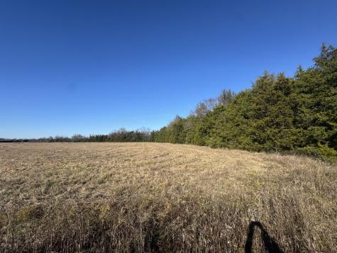 Tbd Tract 11 Fm 2675 Roxton TX 75477