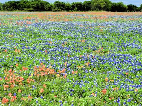 Lot 2 Private Road 425 Hillsboro TX 76645