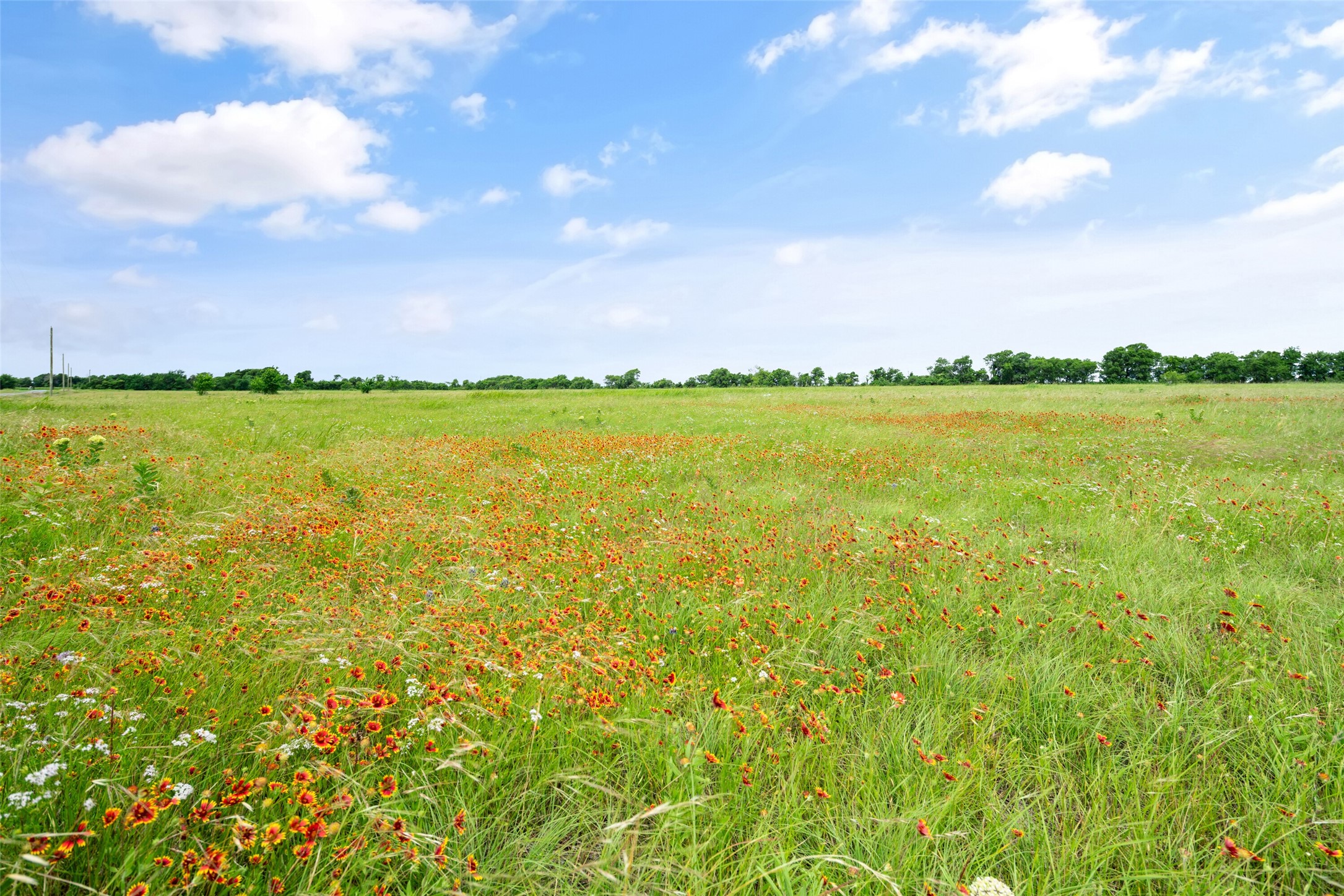 Lot 2 Private Road 425 Hillsboro TX 76645