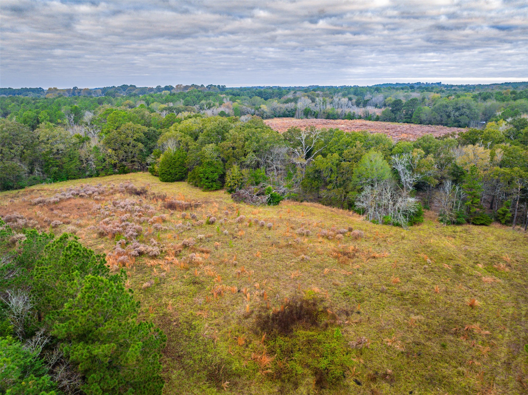 00 Anderson County Road 163 Elkhart TX 75839