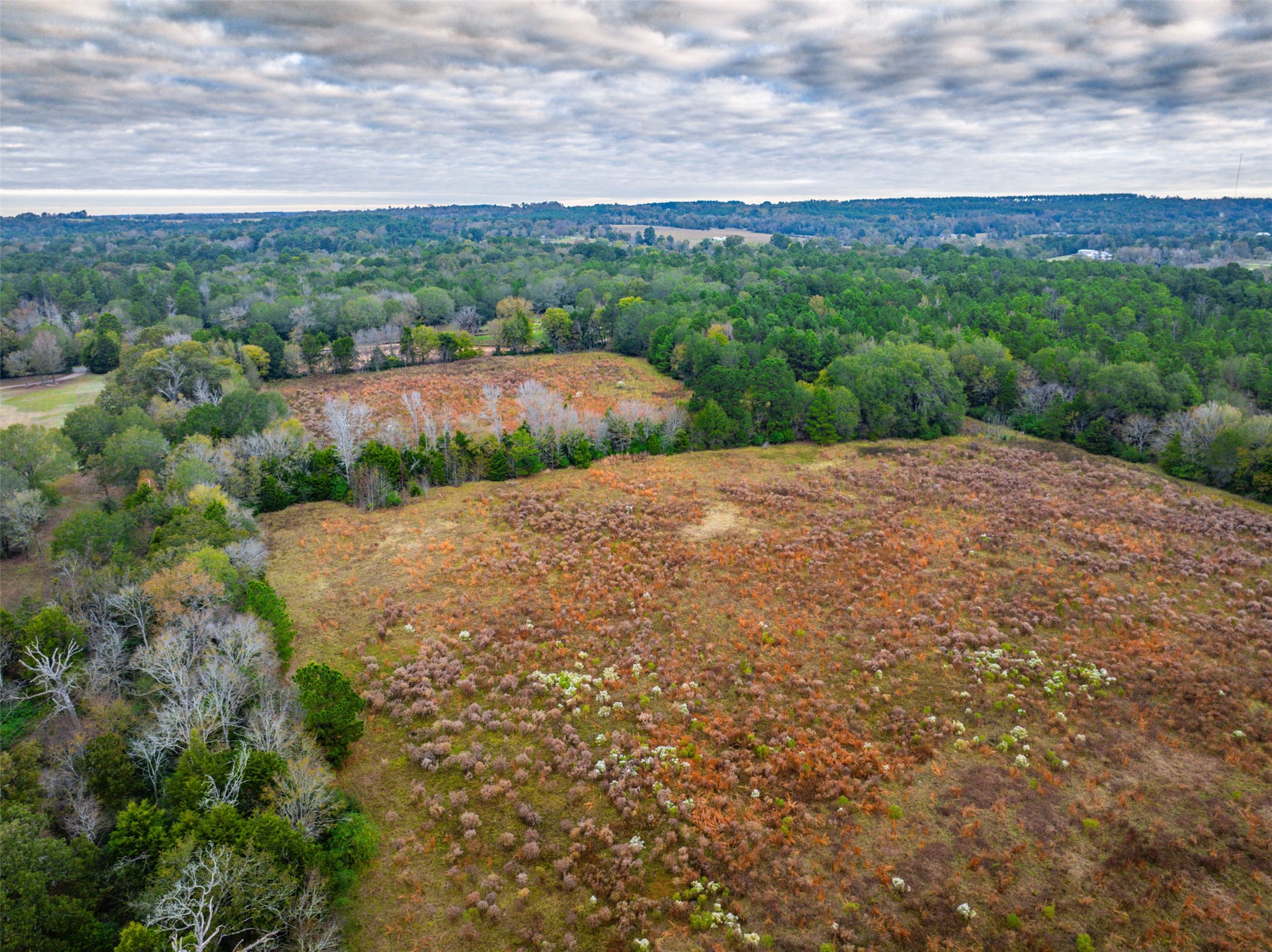 00 Anderson County Road 163 Elkhart TX 75839