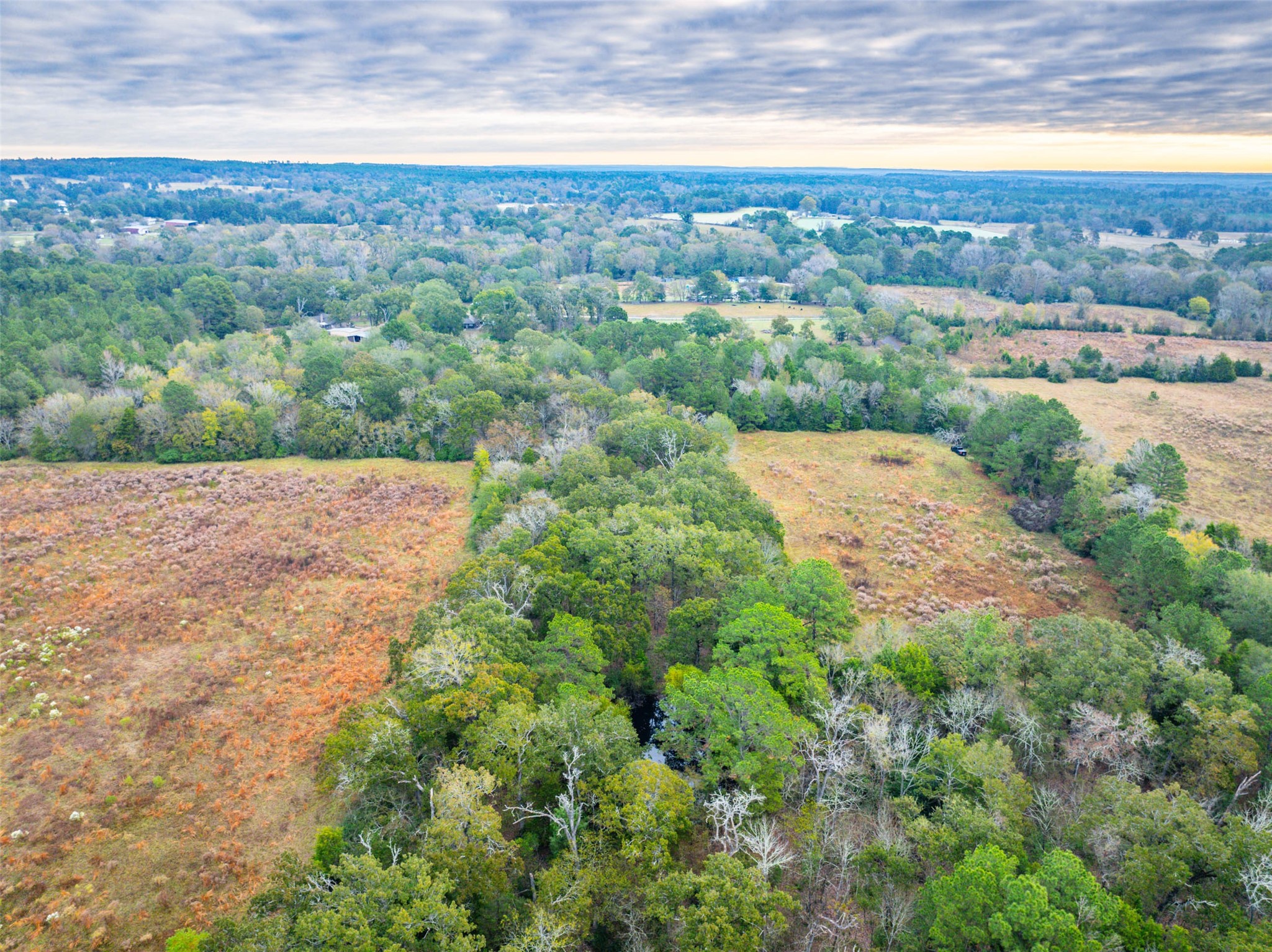 00 Anderson County Road 163 Elkhart TX 75839