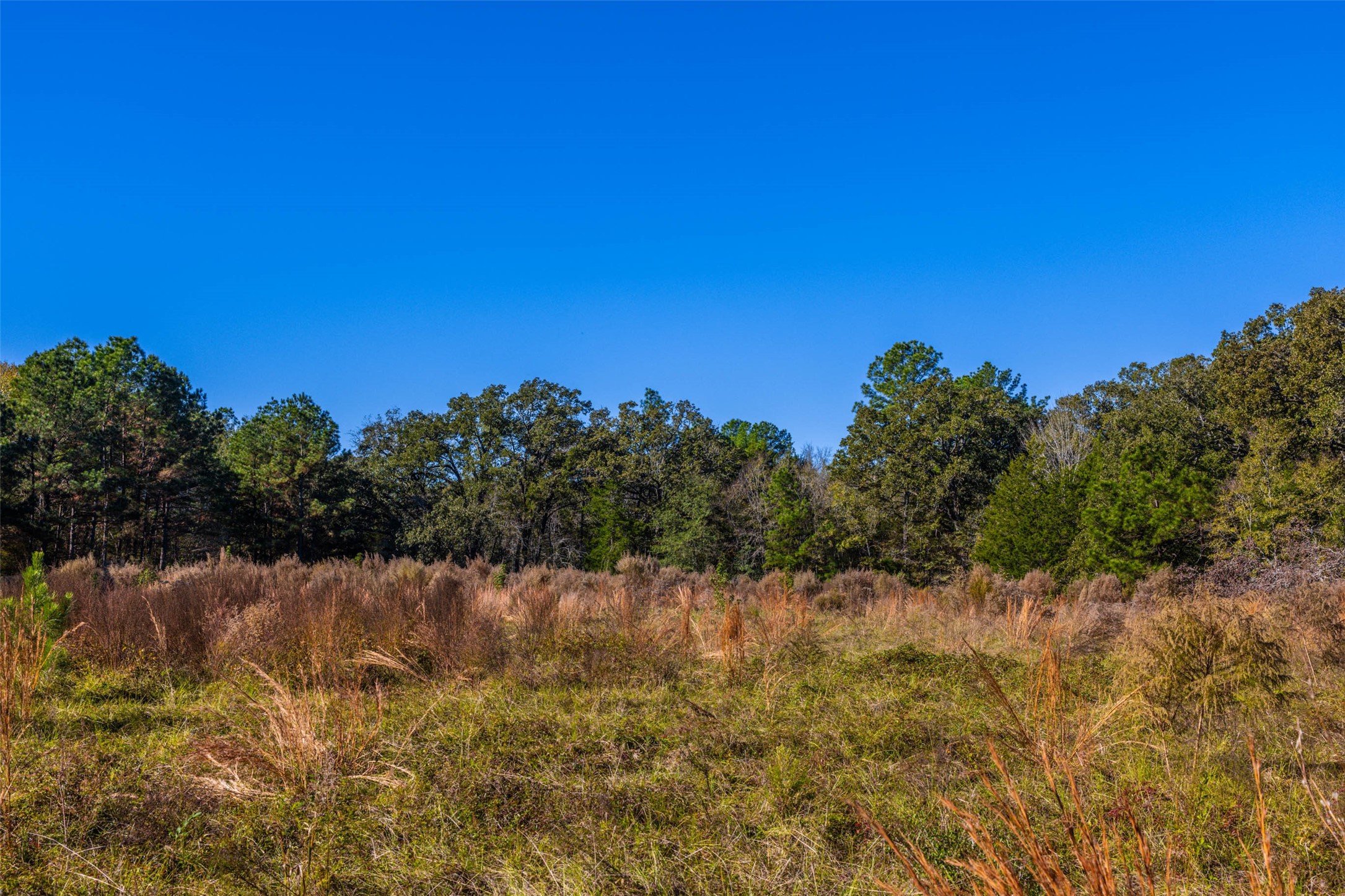 00 Anderson County Road 163 Elkhart TX 75839