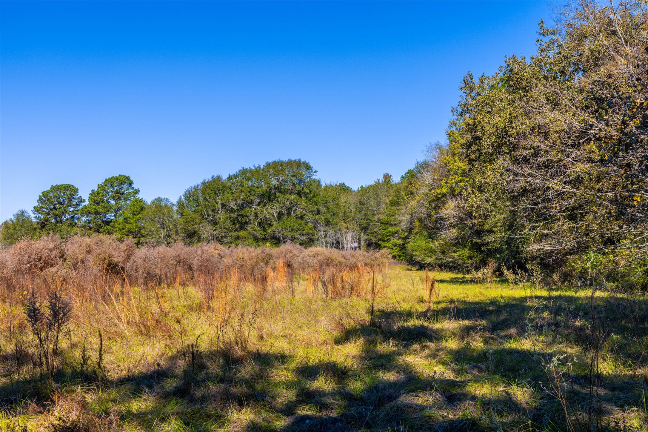 00 Anderson County Road 163 Elkhart TX 75839