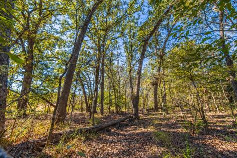 00 Anderson County Road 163 Elkhart TX 75839