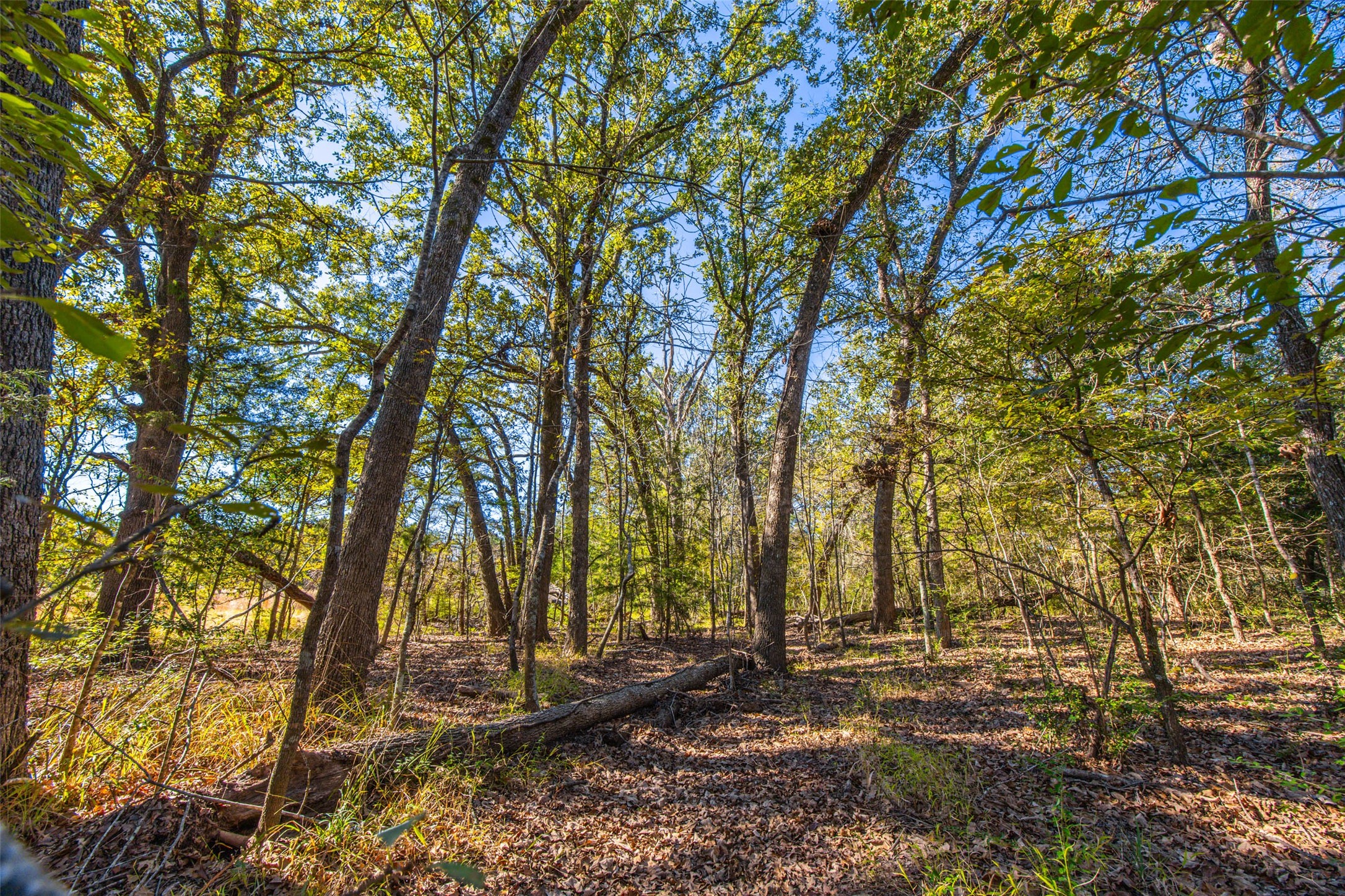 00 Anderson County Road 163 Elkhart TX 75839