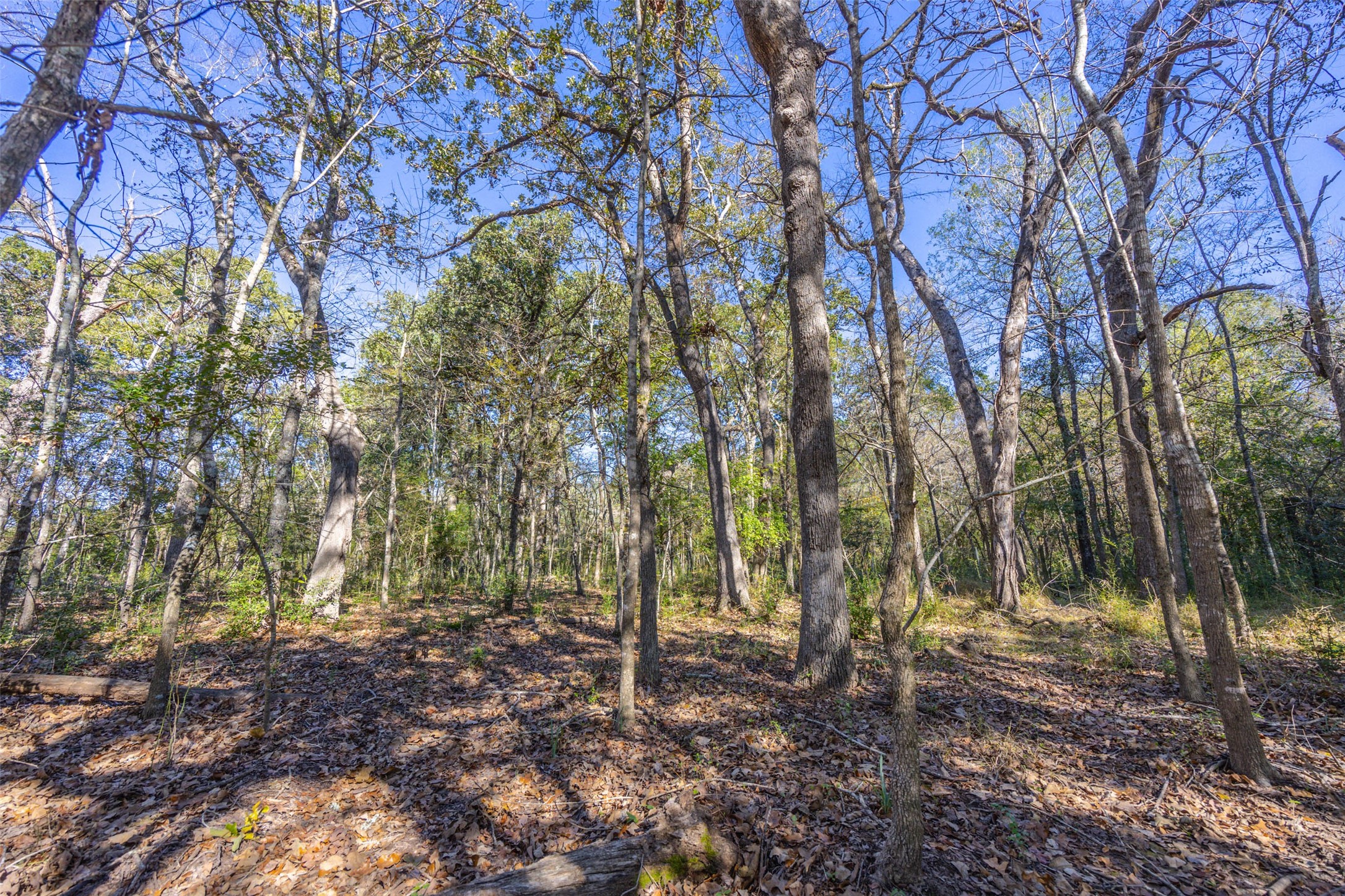 00 Anderson County Road 163 Elkhart TX 75839