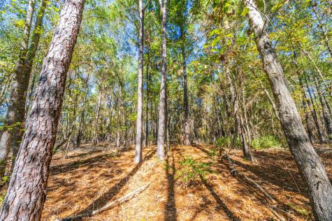 00 Anderson County Road 163 Elkhart TX 75839