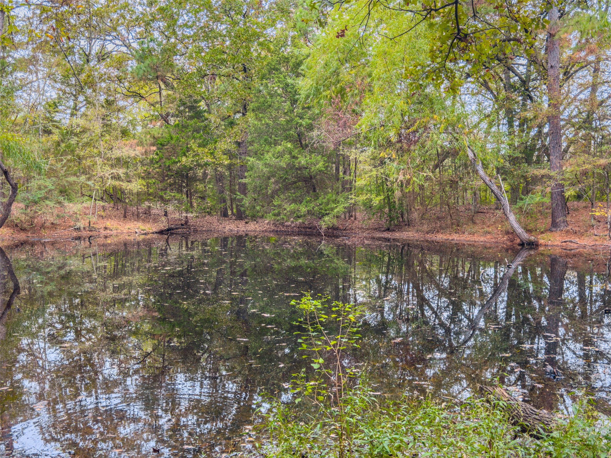 00 Anderson County Road 163 Elkhart TX 75839