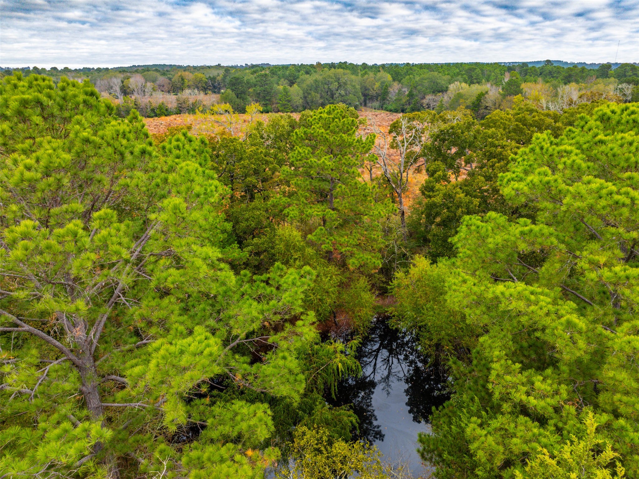 00 Anderson County Road 163 Elkhart TX 75839