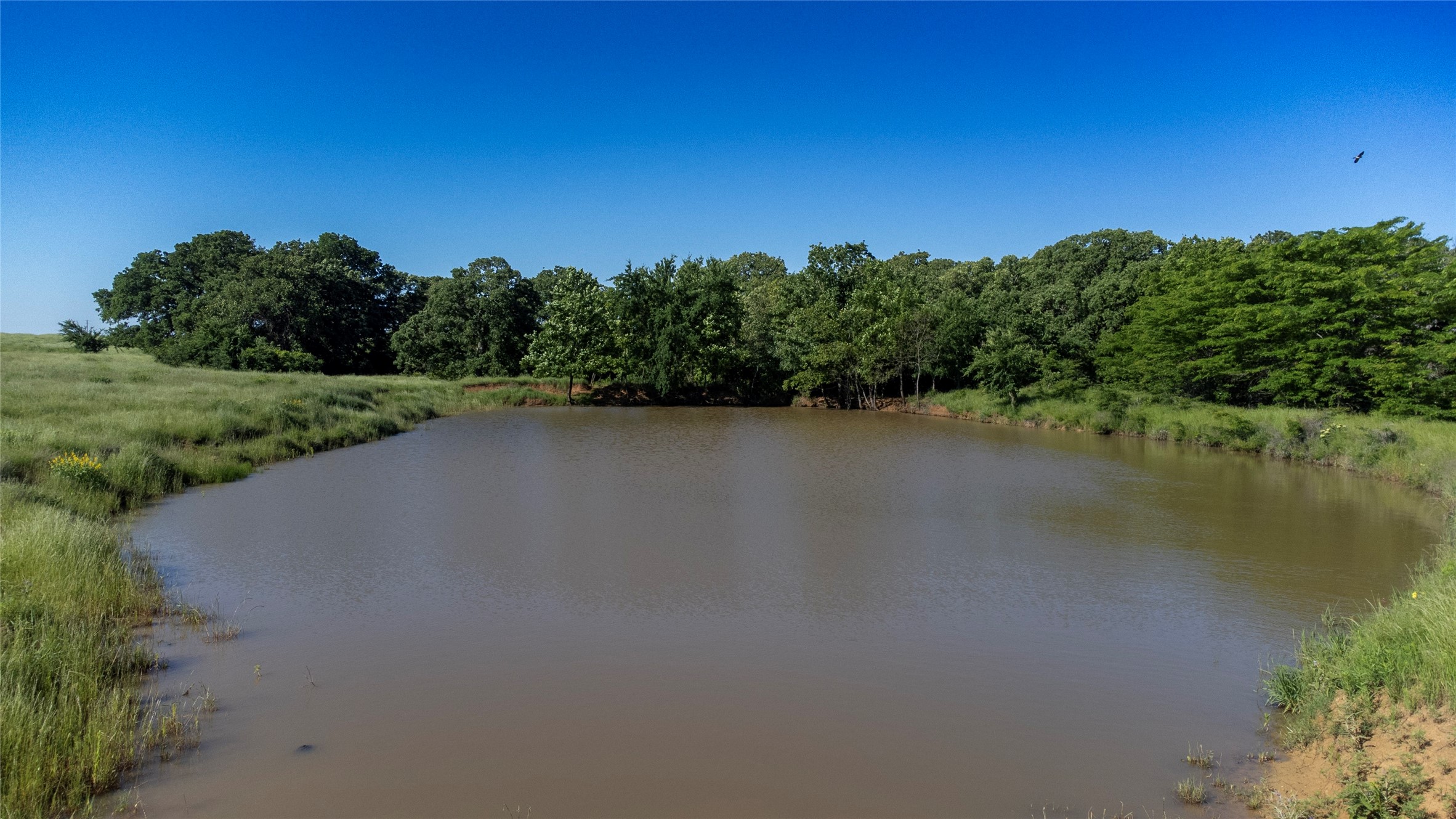 1761 Brooks Lane Sadler TX 76264