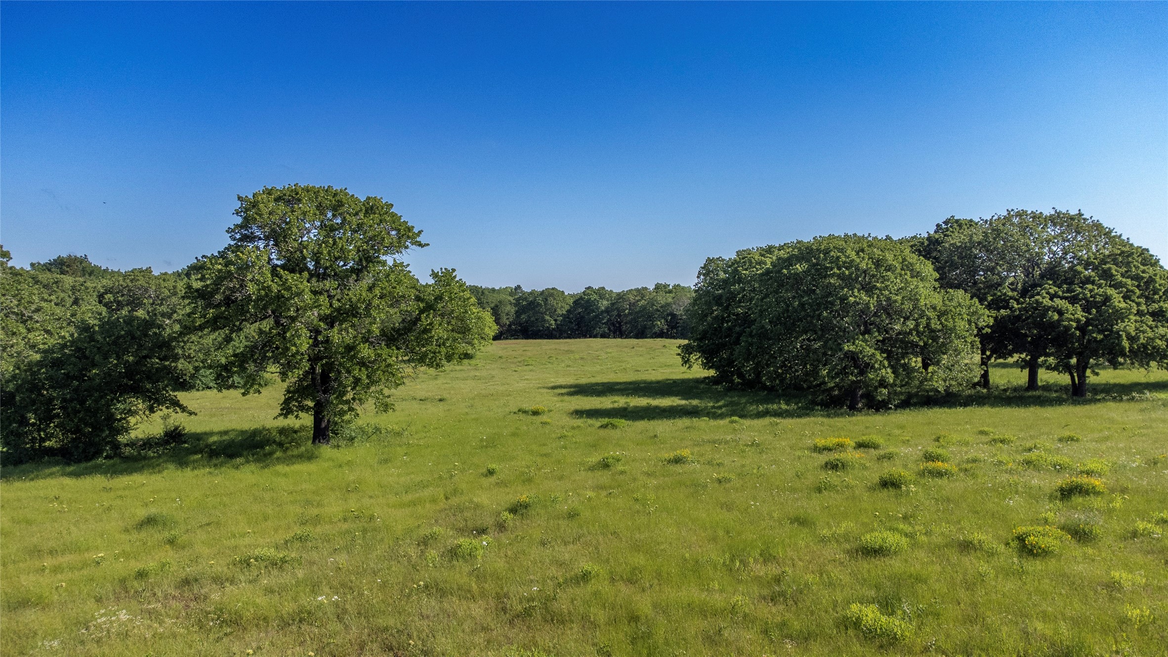 1761 Brooks Lane Sadler TX 76264