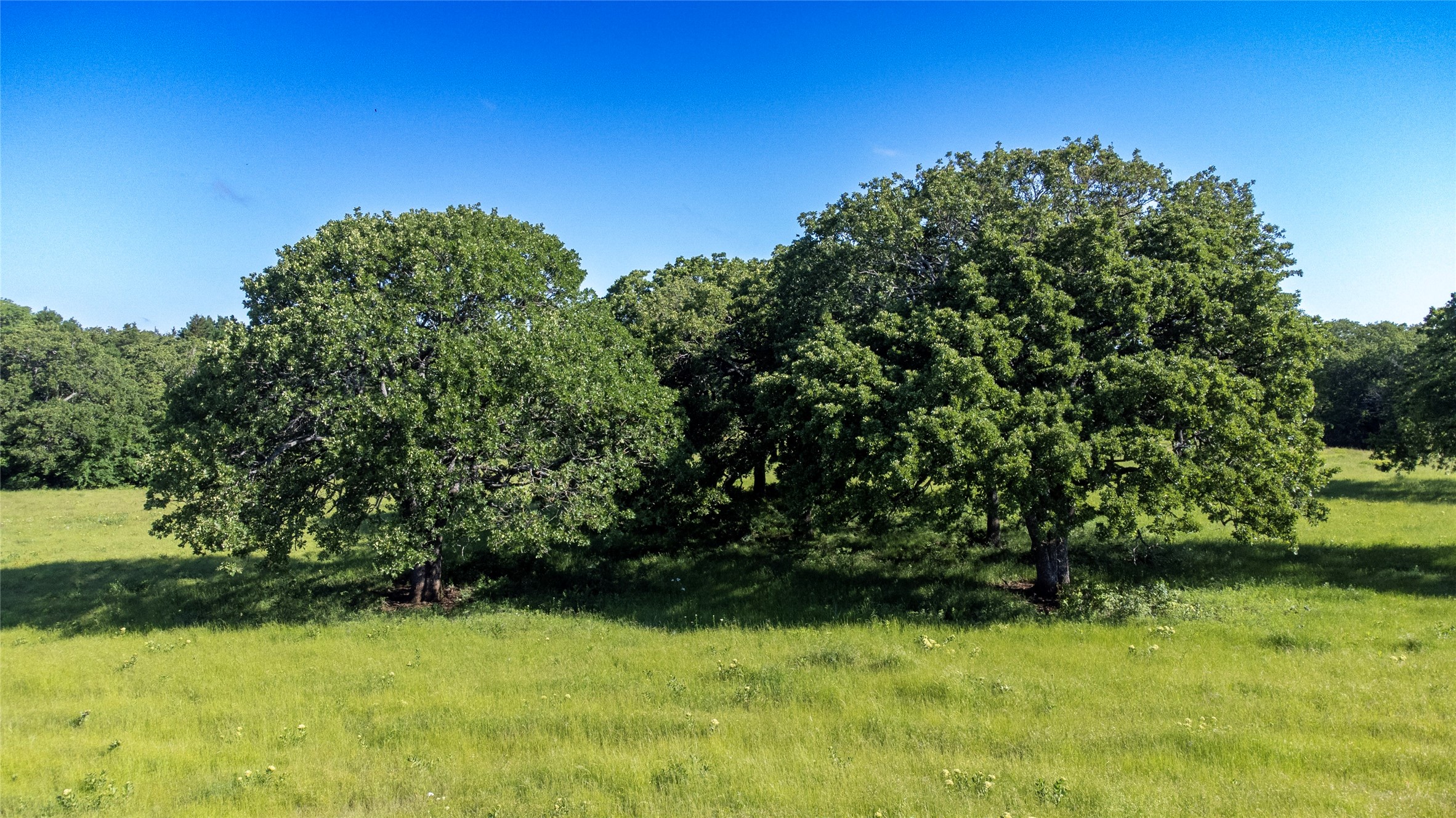 1761 Brooks Lane Sadler TX 76264