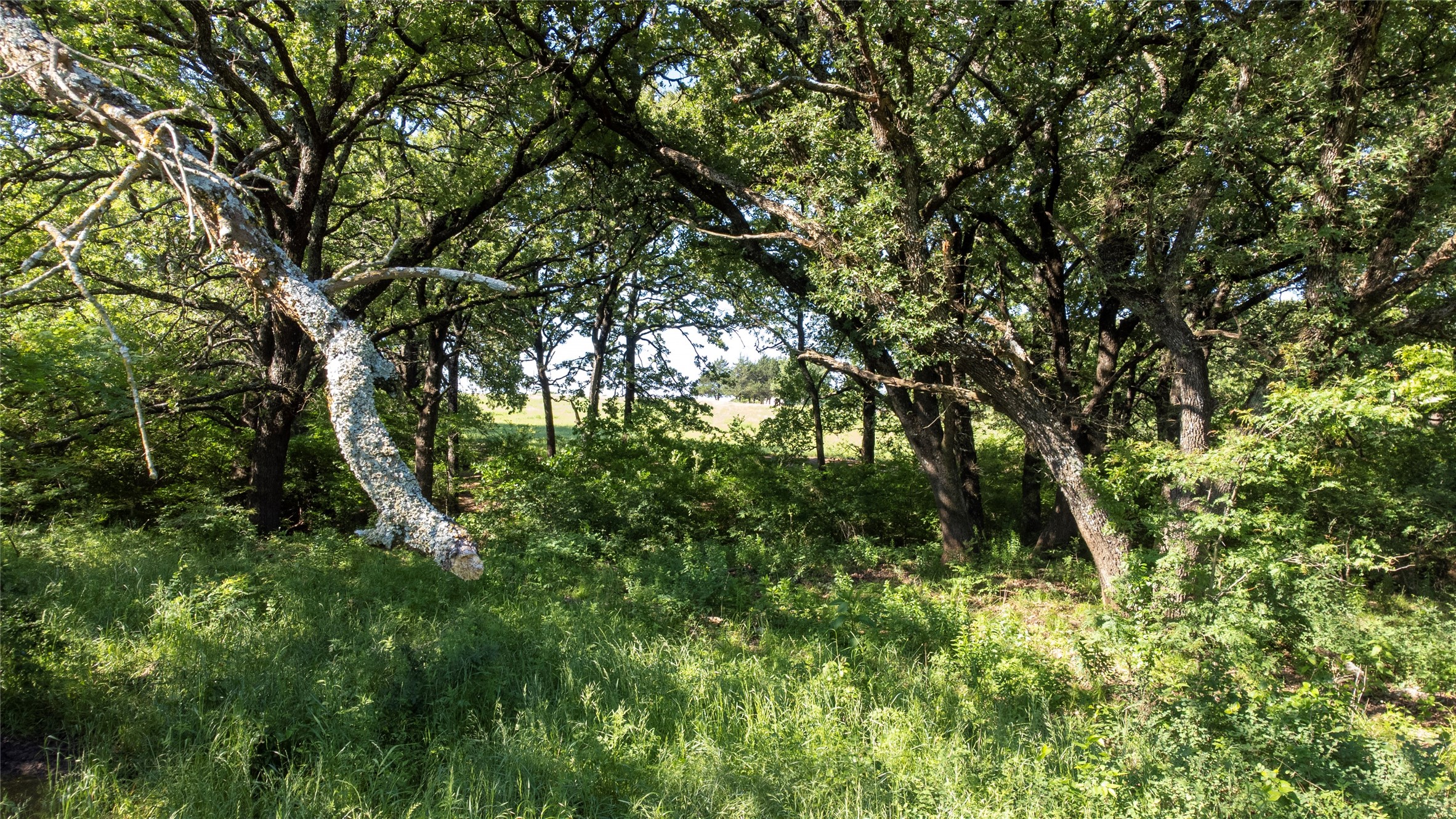 1761 Brooks Lane Sadler TX 76264