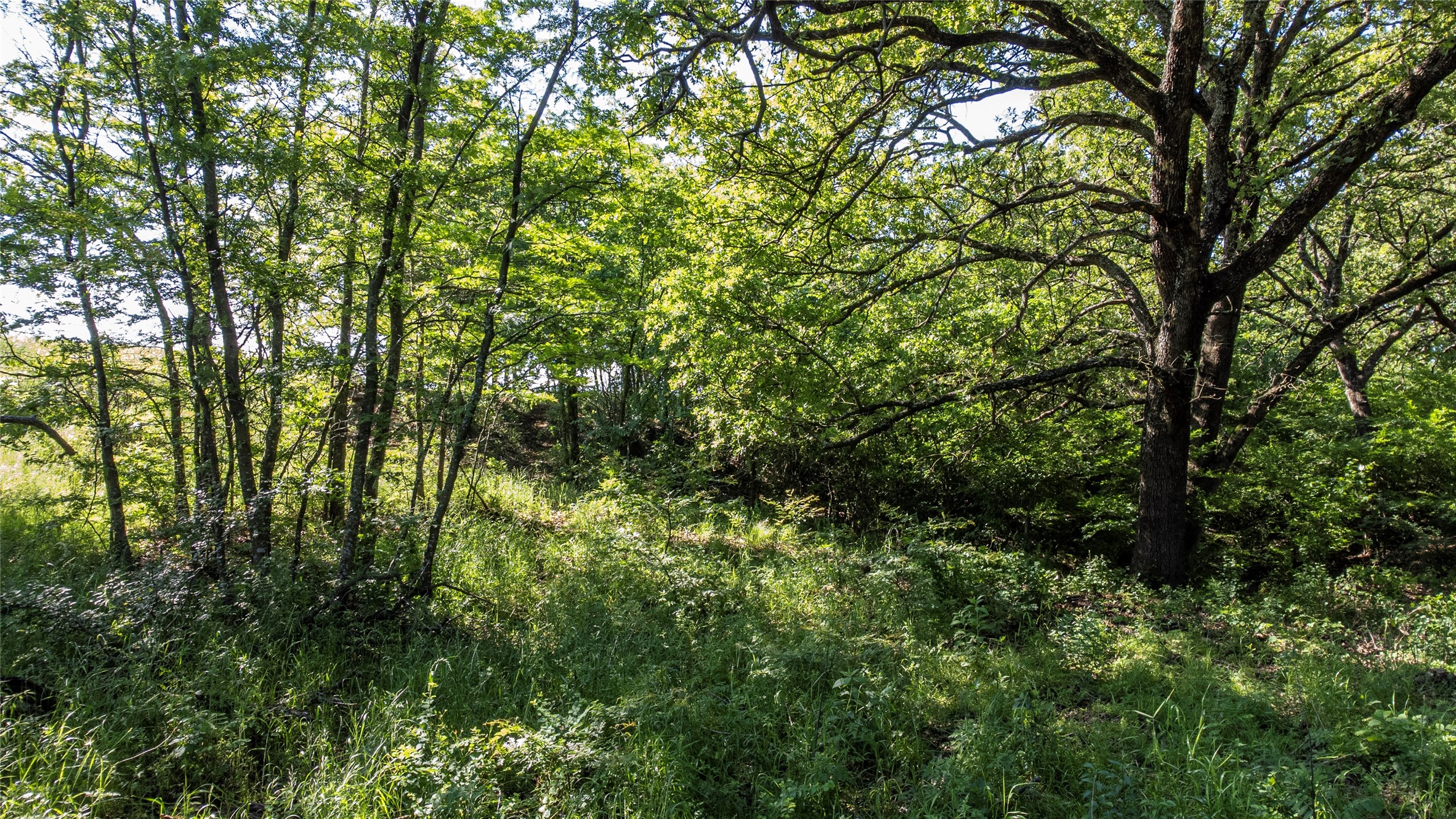 1761 Brooks Lane Sadler TX 76264