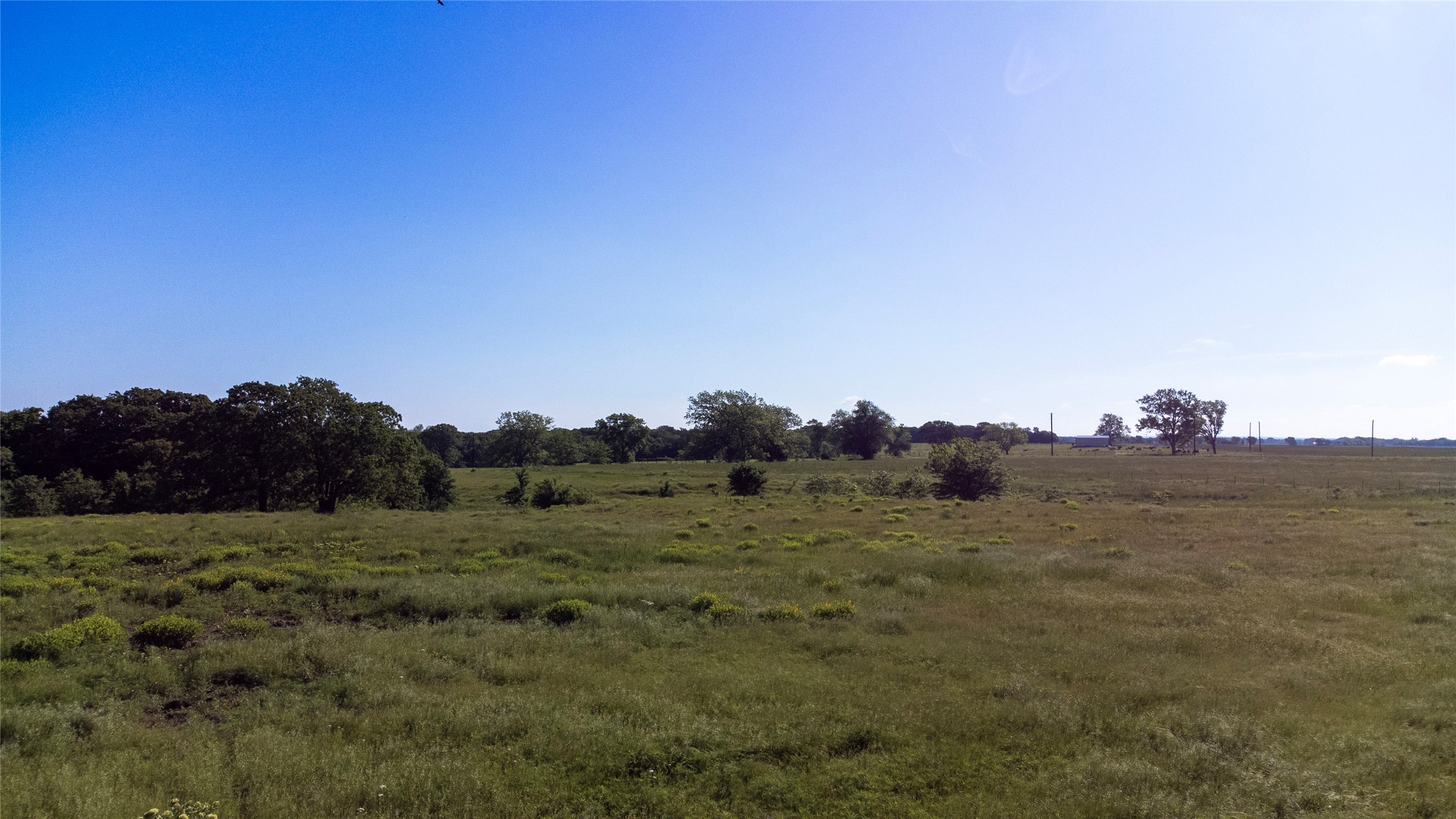 1761 Brooks Lane Sadler TX 76264