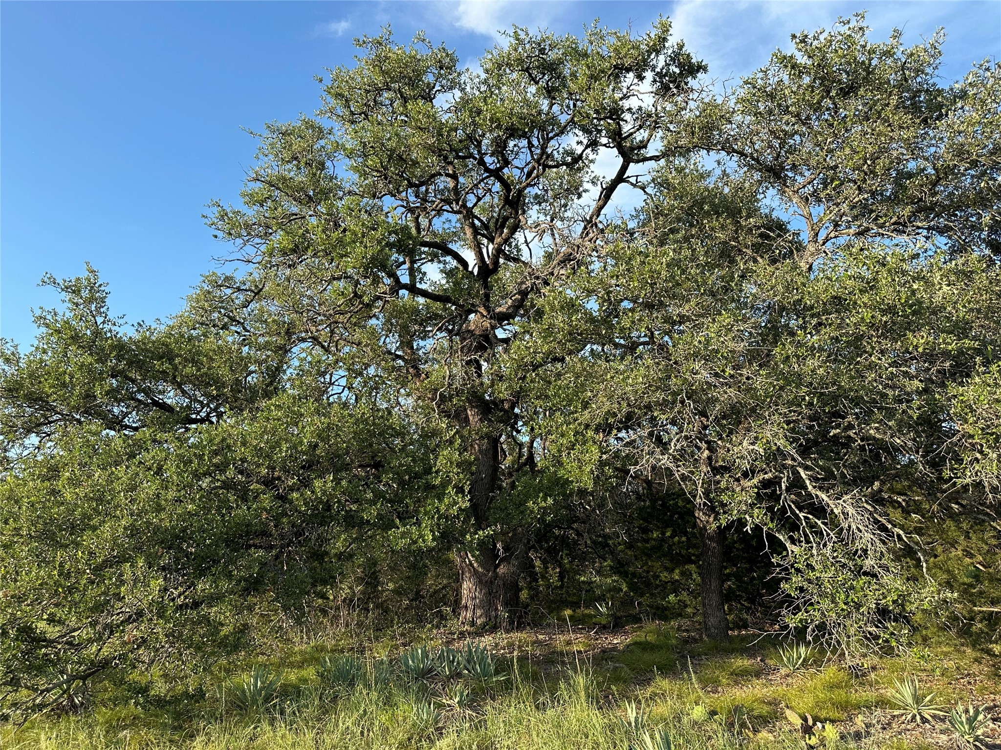 Tbd Highway 36 W Hamilton TX 76531